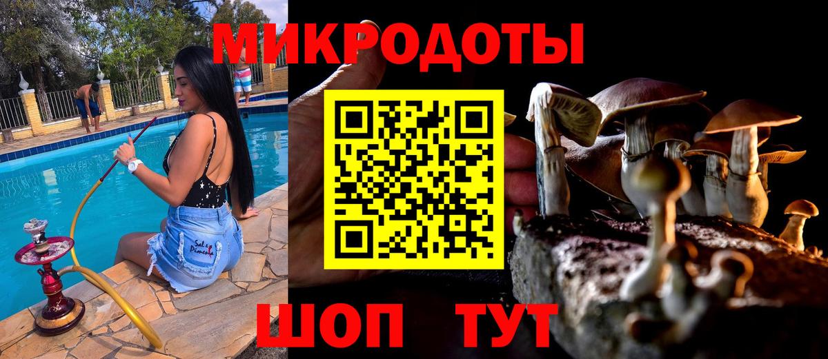 Туапсе  Псилоцибиновые грибы мухоморы  Вход с VPN  Псилоцибиновые грибы мицелий 